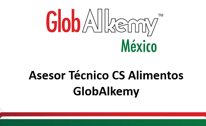 Asesor técnico alimentos GlobAlkemy_CS